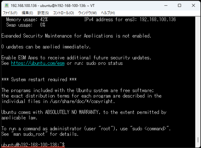 SSH接続後のターミナル画面（ubuntuプロンプト）